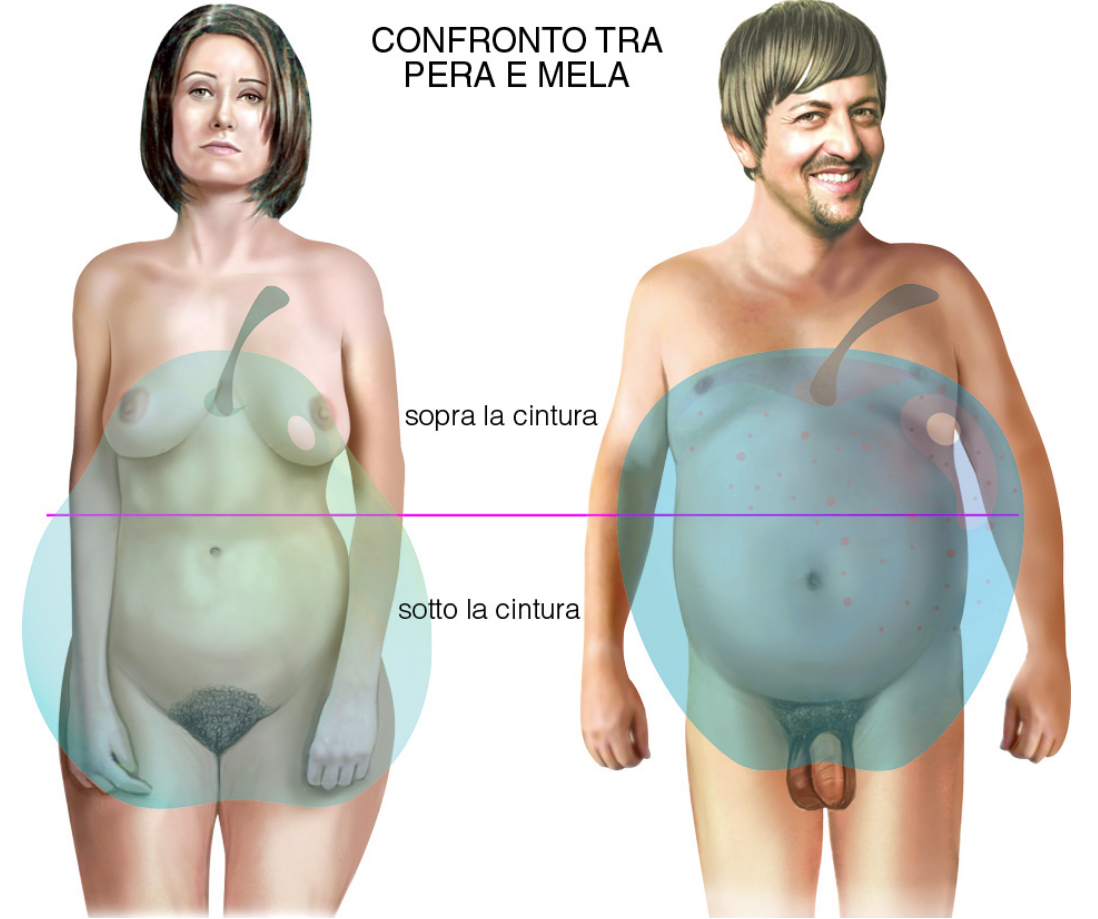 Sindrome Metabolica | Pfizer for Professional – (Navigazione anonima) 2017-05-28 22-46-52
