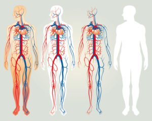 eco-color-doppler-angiologia-cassia-la-storta